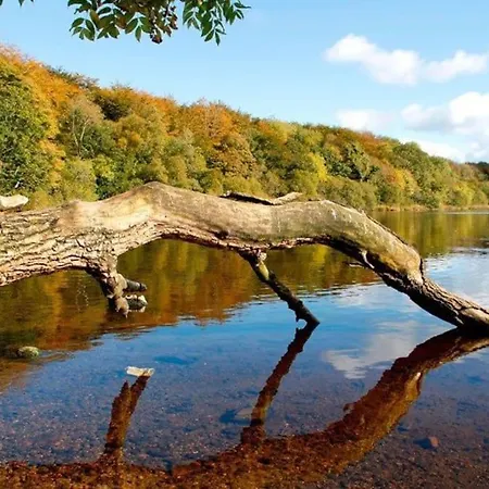 Ballure House * スライゴ