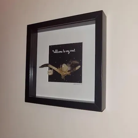 Casa de Férias Ballure House